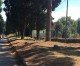 Appia Antica: si perpetua  la dicotomia tra Parco naturale e Parco archeologico