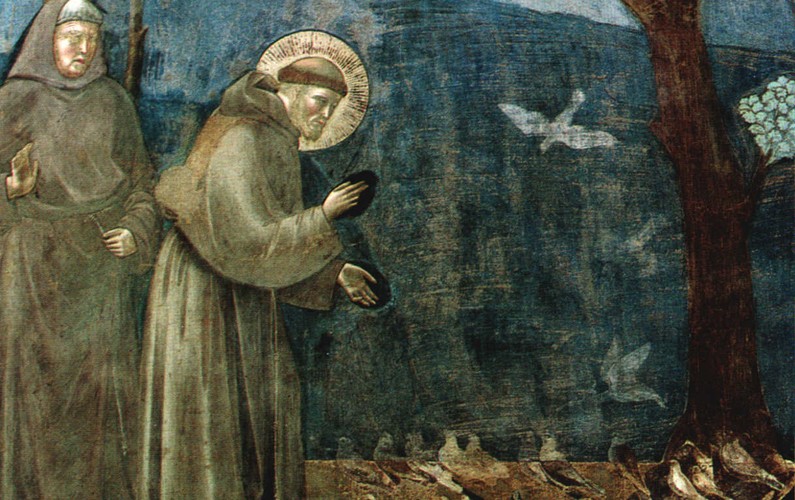 giotto-san-francesco-predica-agli-uccelli-795x500