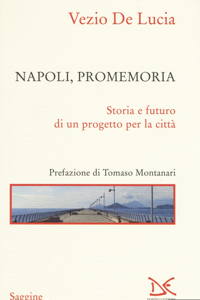 Libro Vezio De Lucia Napoli Promemoria