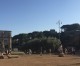 Allarme Appia Antica