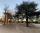 Christmas World  a Villa Borghese: quale tutela della Villa e quali vantaggi per l’interesse pubblico