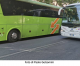 L’Appello al Sindaco: per il Giubileo serve un nuovo regolamento per la circolazione e la sosta dei bus turistici