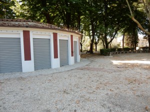 DSCN5653