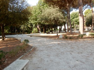 DSCN5656