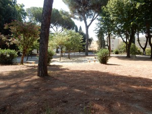 DSCN5657