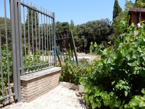 DSCN5663