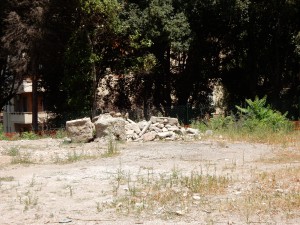 DSCN5664